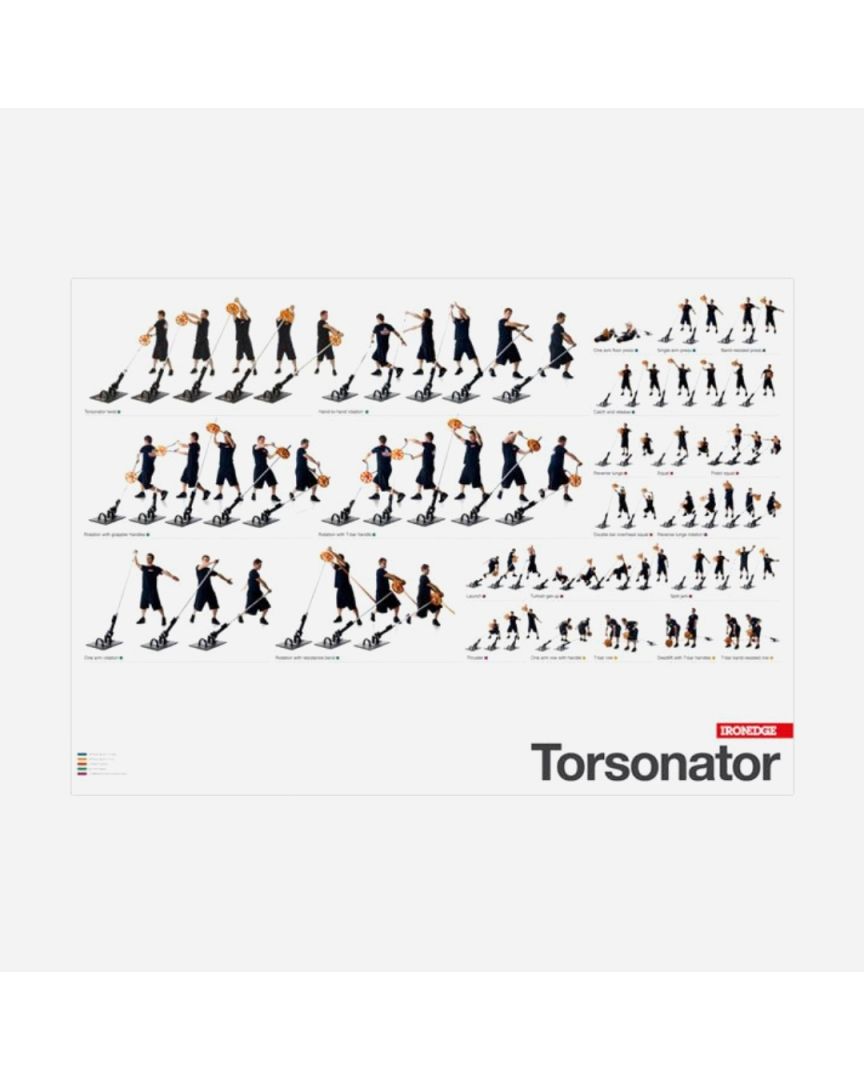 Torsonator™ Poster - Download